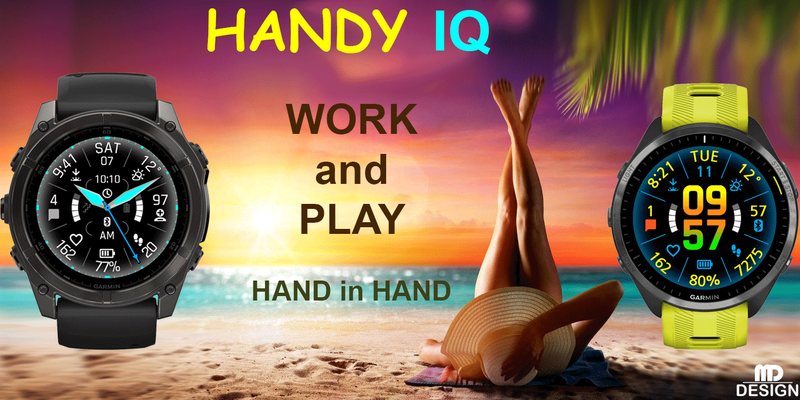 HANDY IQ