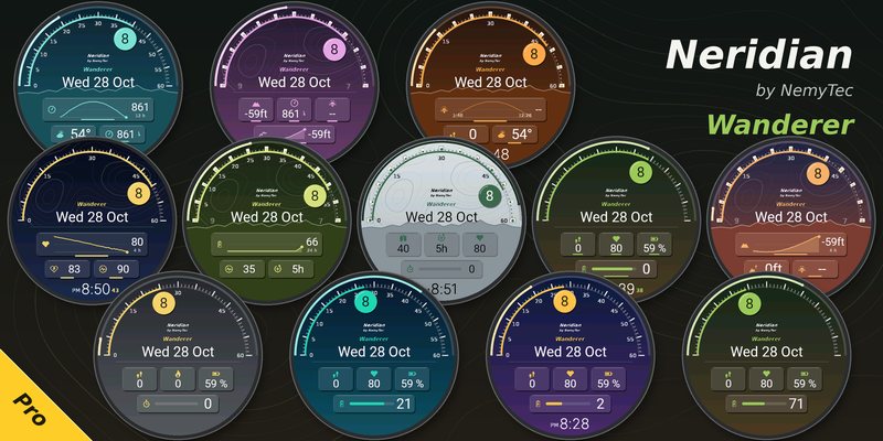 Neridian Wanderer Pro
