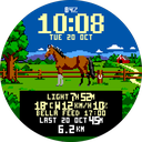 Equestrian