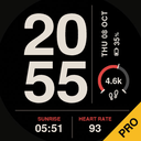 RASTER PRO