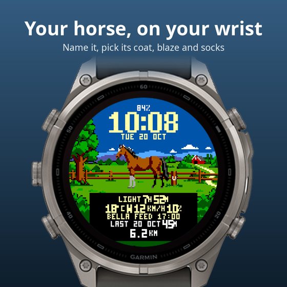 Equestrian screenshot 1