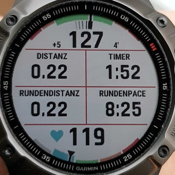 CGM Gauge Datafield captura 2