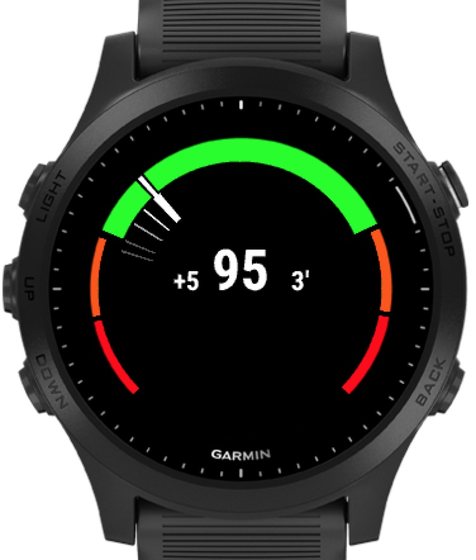CGM Gauge Datafield captura 3