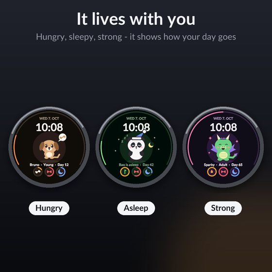 Petbook Screenshot 2
