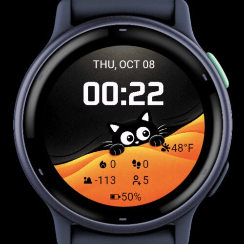 Black Cat 5 screenshot 1