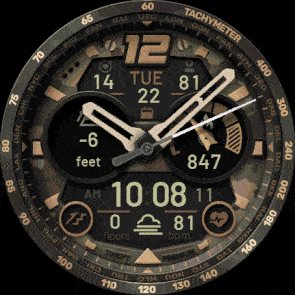 Fenix 8 CAMO screenshot 3