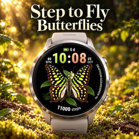 Step to Fly