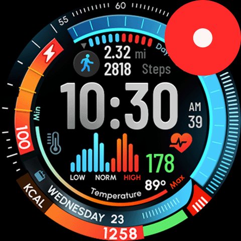 Fenix 8